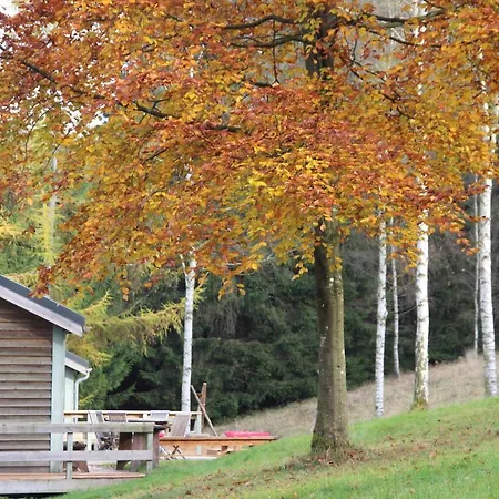 Le Nid Des Mésanges