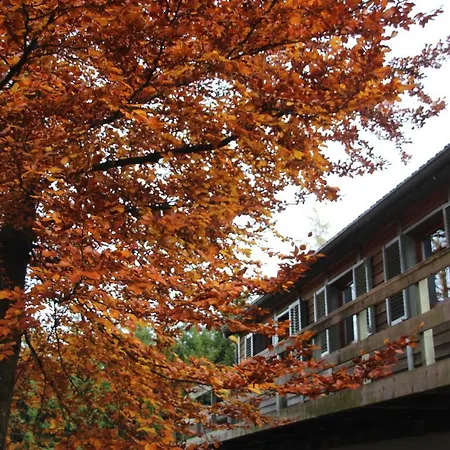 Le Nid Des Mesanges *