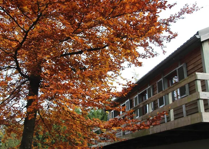 Le Nid Des Mesanges *